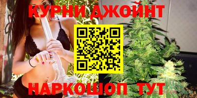 сатива Комсомольск-на-Амуре